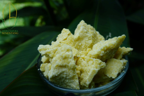 Crude (Yellowish) Illipe Butter