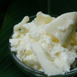 Decolorize (White) Illipe Butter