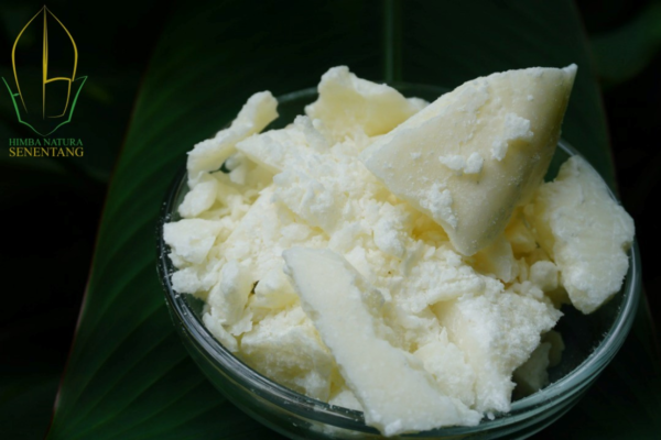 Decolorize (white) illipe butter_marked 1 Decolorize (White) Illipe Butter